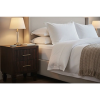 Belmont 2 drawer nightstand in dark wood with gold-tone handles made from solid mango wood for stylish storage